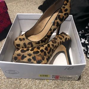 Leopard Steve maddens